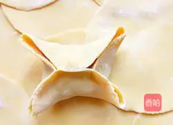 Illustration of how to make handmade dumplings 12