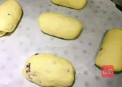 Milk Honey Bean Roll Tutorial Illustration 16