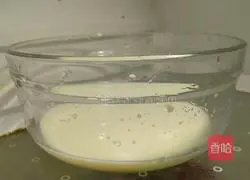 Recipe for Refreshing Watermelon Lemon Sago 8