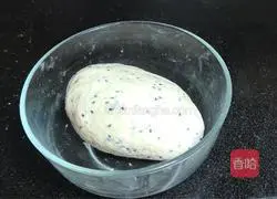 Illustration of how to make homemade seeds 3