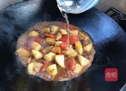 Illustration of tomato and potato stewed beef 14