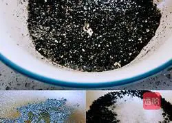 Black sesame dragon roll recipe 2