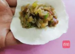 Illustration of how to make zucchini and pork vermicelli dumplings 17