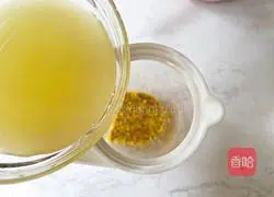 Passion Fruit Lemon Green Orange Water Recipe Illustration 7