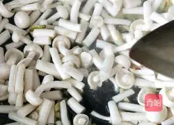 Autumn Assorted Soup Recipe Illustration 4