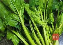 Illustration of making and fermenting green dough 1