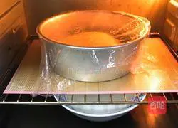 Illustration of how to make pumpkin puree meal packs 13