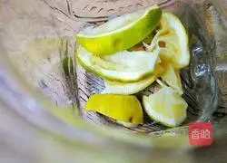 Watermelon Lemon Sparkling Drink Recipe Illustration 3