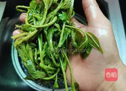 Illustration of how to make toon scrambled eggs 9 