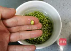 Illustration of how to make pumpkin and mung bean rolls 2