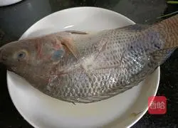 Illustration of how to make tofu crucian carp soup 2