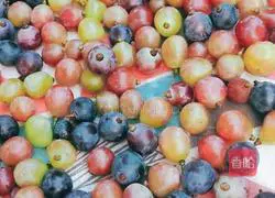 Illustration of homemade wine 10