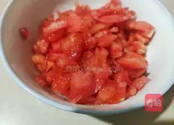 Illustration of tomato and egg topping 2