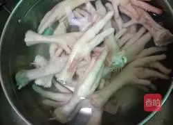 Illustration of lemon and spicy chicken feet 2