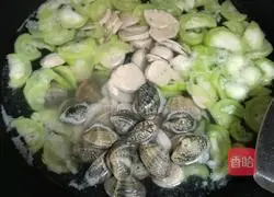 Clam, Luffa and Vermicelli Soup Illustration 7 