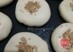 Illustration of how to make sugar cakes 14