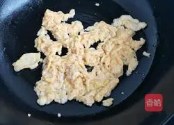 Illustration of how to make prime zygotes 2