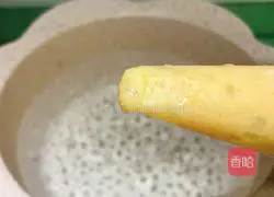 Cucumber and Chicken Meatball Soup Tutorial Illustration 9