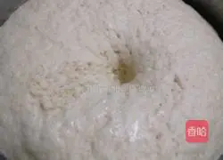 Bai Lai Pork Bun Recipe Illustration 7