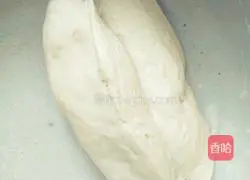 Illustration of how to make pork stuffed dumplings 6