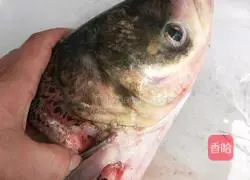 Casserole fish head soup Illustration of how to do it 1