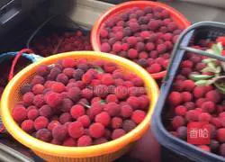 Illustration of how to make bayberry drink 2