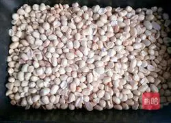 Illustration of how to make fried noodles (tea oleifera) 6