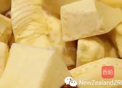 Illustration of New Zealand fish maw pickled fresh fish 2