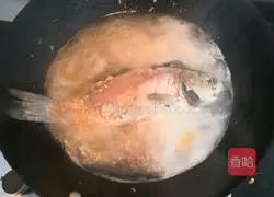 Illustration of how to make crucian carp and winter melon soup 10