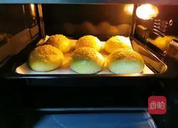 Illustration of how to make hamburgers 20