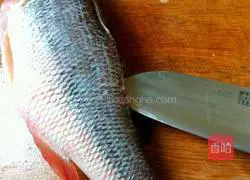 Illustration of how to make pickled fish 2