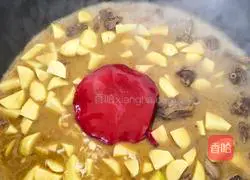 Illustration of how to stew goose in iron pot 11