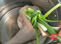 Illustration of how to make saliva chicken 2