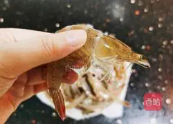 Illustration of braised shrimp in oil 2