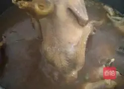 Illustration of Braised Pigeon 3