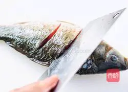 Illustration of braised crucian carp with green onions 3