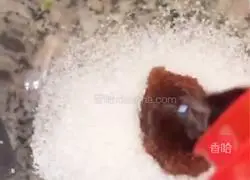 Illustration of how to make sweet and sour black cabbage 1