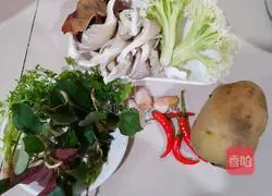 Illustration of Sichuan Chowder 1