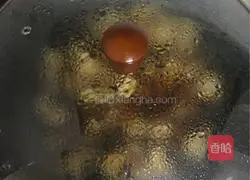 Illustration of home-cooked braised pork 11