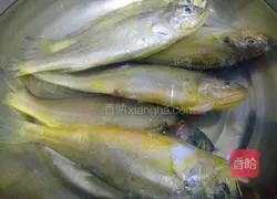 Illustration of how to make pan-fried yellow croaker 1