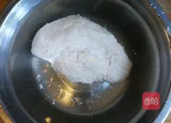 Jin Xiang Yuying (Thai Sauce White Jade Roll) Practice illustration 3