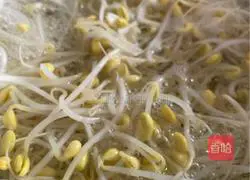 Illustration of home-cooked soybean pig's trotters 17