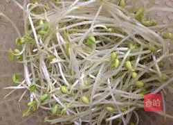 Illustration of how to make fried bean sprouts and vermicelli 2