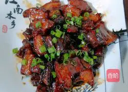 Illustration of Braised Pork 7