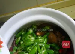 Yellow Braised Chicken Recipe Illustration 8