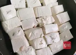 Illustration of making double tofu 16