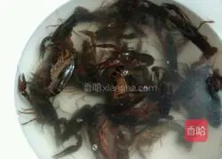 Illustration of how to make beer crayfish 1 