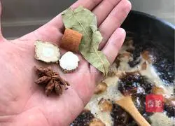 Illustration of home-cooked braised pork 11