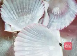 Illustration of steamed scallops with garlic vermicelli 4