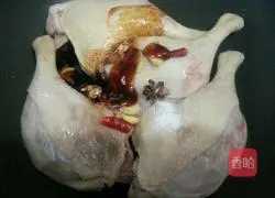 Illustration of braised duck legs 3